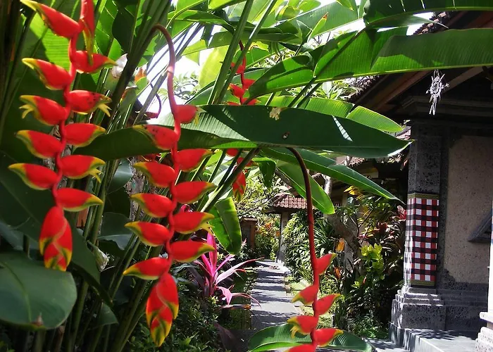 Affittacamere Jalan Jalan & Ubud